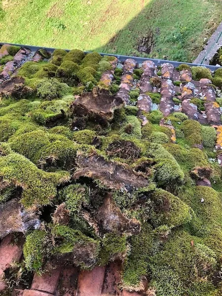 Nettoyage par Drone de Toiture, Démoussage et hydrofugation • M.M Drone Services - Pays Basque(64)